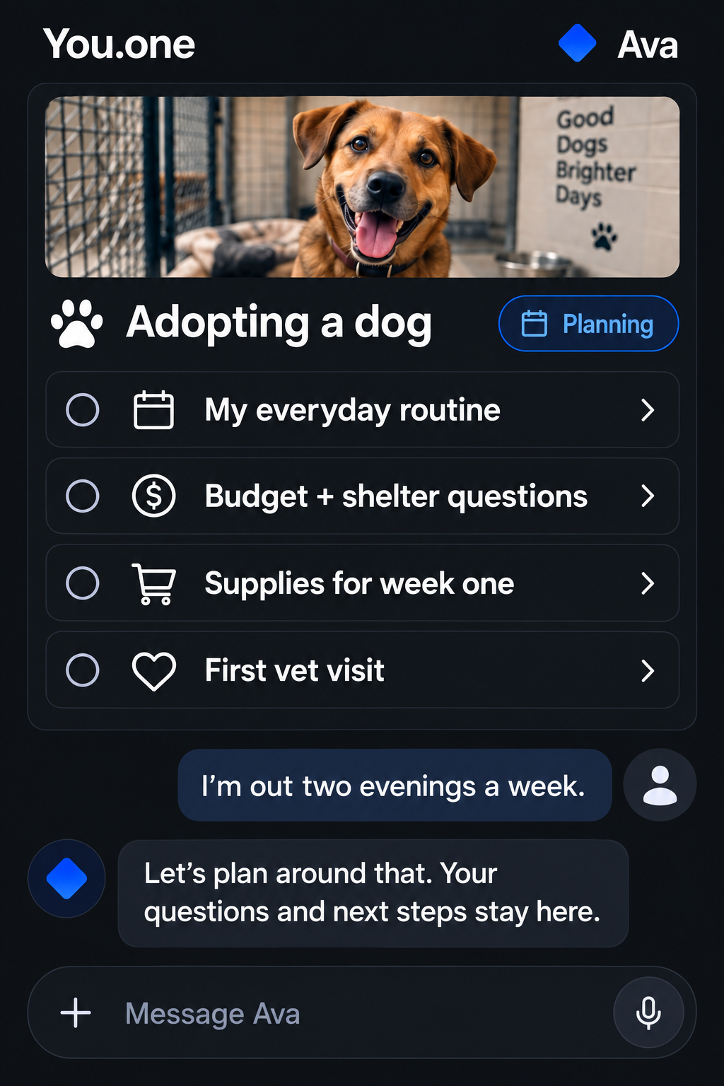 Dog-adoption planning Card and Ava conversation arranged for a phone. Nothing is marked completed.
